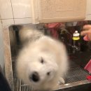 스파츄스 이미지