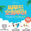 에스씨푸드시스템 | [보라카이여행 2일차]에스보라카이 씨푸드 호핑투어 크리스탈코브섬 후기