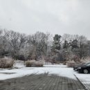 세종동_전월산 무궁화 테마공원 이미지