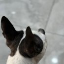 만년YES동물병원 이미지