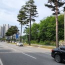 사임당로 80-6 이미지