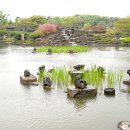 메이즈랜드 이미지