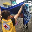 은빛세탁 이미지