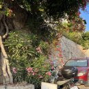 루나호텔 | 튀르키예 터키 카쉬 숙소 추천 hotel Luna Kas 호텔 루나 카스 오션뷰 5박 후기(테라스, 수영장 O)