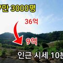 [부동산경매] 36억에서 9억으로... 괴산 7만3000평 시세 10분의 1 토지 이미지