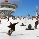 영월스키 이미지