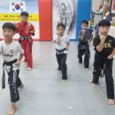 비연무예태권도 이미지