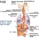 (주) 다미 이미지