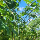 소원어린이집 이미지