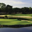 B&R골프연습장 이미지