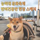 문화로1L | 2025 능허대 문화축제 송도달빛축제공원 반려견동반 후기