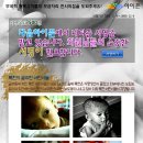 클릭만으로 중국내에 숨어지내는 북한 천사의 집을 도와주세요!! 이미지