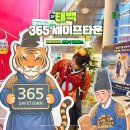 [자살예방교육] 생명사랑을 위한 마음에 온(on) | 태백 아이와 가볼만한곳 365세이프타운 입장료 식당