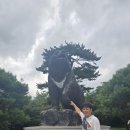 속초 대포항 버스킹 전 설악산 답사.. 이미지