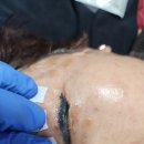 머리꽃 피우다 이미지