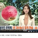 하늘재농장 이미지