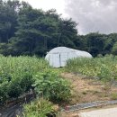 성하리마을회관 이미지