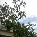 외갓집클라스 이미지