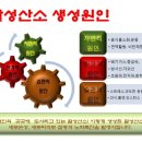 편백수소테라피