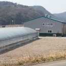 가례자전거도로 이미지