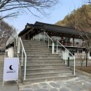 용문 애견 이미지