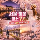 Blossom for you | 서울 벚꽃, 이젠 실패 없이 즐겨라! 전문가의 7가지 비책(Including English, Japan)
