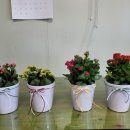 테이블39 이미지