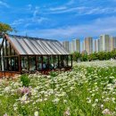 초록마을 남창점 | 6월 여행지 추천 여름 국내여행 가볼만한곳 5곳
