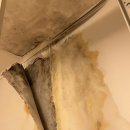 방배자이아파트 | [방배동 누수] 방배 자이아파트 누수업체, 탐지 후 원상복구까지 진행한 후기! 누수의정석