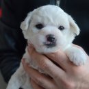 로이종합동물병원 이미지