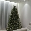 트리밸리 이미지