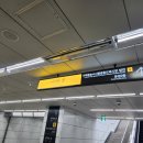 순환의 축복 | 나의 두피에 축복이 : 웰킨두피탈모센터 송파문정점