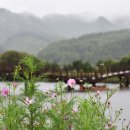 서정마을~서정저수지 이미지