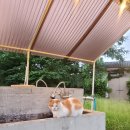 어라운드빌리지 이미지