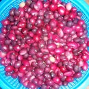 제비네 농장2 이미지