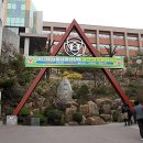 대원국제중학교 이미지