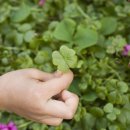 대전삼성한방병원 이미지