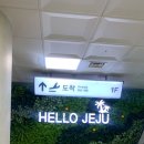 롯데렌터카 | 제주도 여행, 롯데 렌터카로 편하게 즐긴 꿀팁&amp;후기!