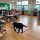 동계초등학교 이미지