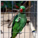 경주버드파크 이미지