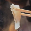 동해오징어 | 신당역 횟집 부둣가실비 신당본점, 봄도다리회와 동해오징어 통찜 솔직 후기