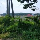 구산면684 네이버블로그