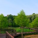 대청호 자연수변공원 이미지