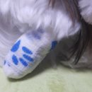 미엘동물병원 | 파주 교하 미엘동물병원 후기 ♥ 강아지 발 치료