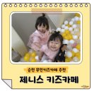디딤동물병원 | 순천키즈카페 제니스 무인키즈카페 대관 후기