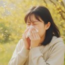 비염 찐 후기 딸아이의 알레르기를 잡아준 ‘코박사 에스’ – 꾸준히 먹는 이유