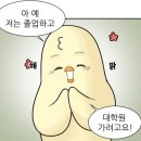 상명대학교 대학원 | [후기] 상경계 학사 → 디자인 석사 | 다시 디자인으로 돌아오다 (대학원 합격 후기)