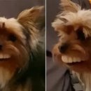 김광진 콘서트 이미지