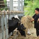 일도목장 이미지