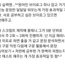 친구랑 영어회화 스터디 하는 거 내가 진두지휘하게 될 거 같은데 방식 어때? 이미지